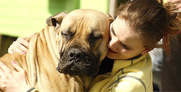 5 ways to tell your dog you love them