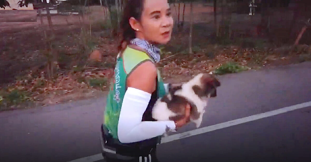Marathon runner found an abandoned puppy in the middle of a race. She ran with him 30km to the finish line in the heavy heat