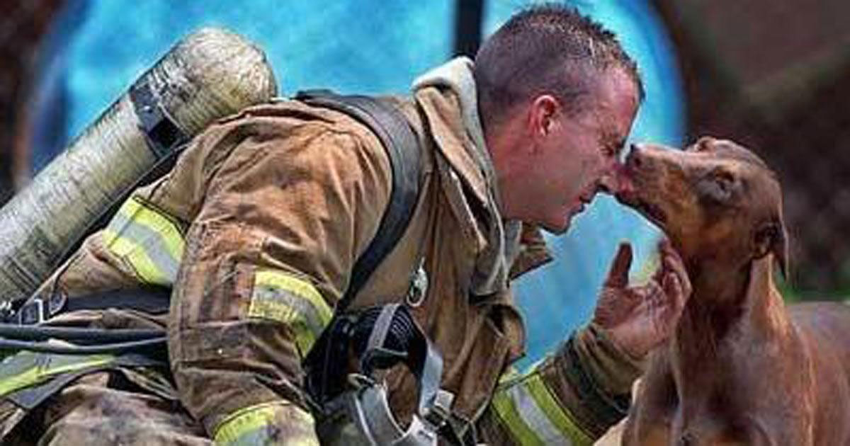 18 pictures of firefighters rescuing animals that will warm your heart