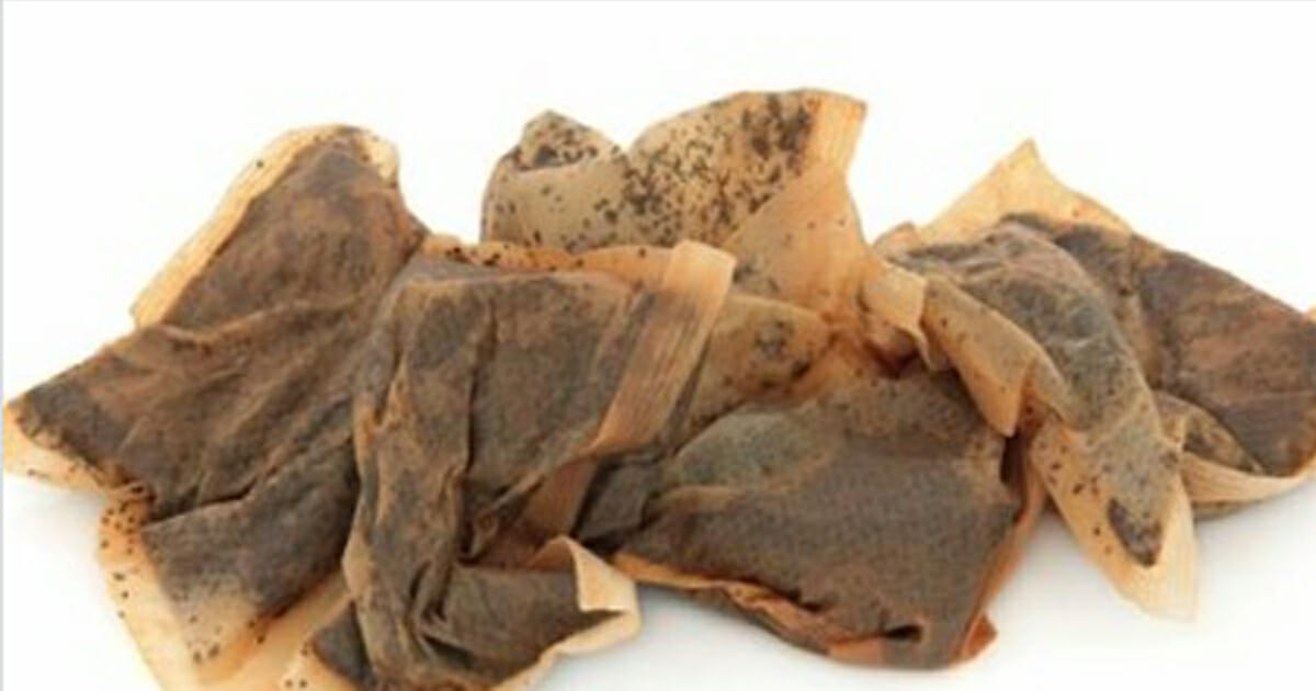 Do not throw your tea bags in the trash - 8 reasons why you should keep them in place!