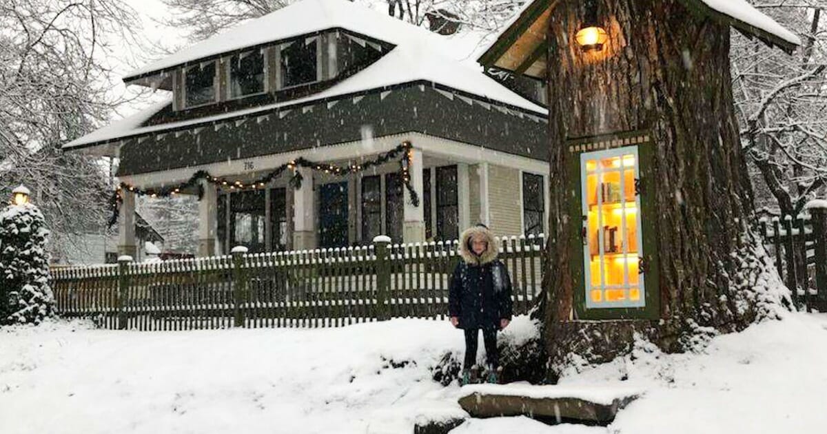 Woman turned a 110-year-old tree into a free library for neighbors - one look inside and my jaw fell to the floor