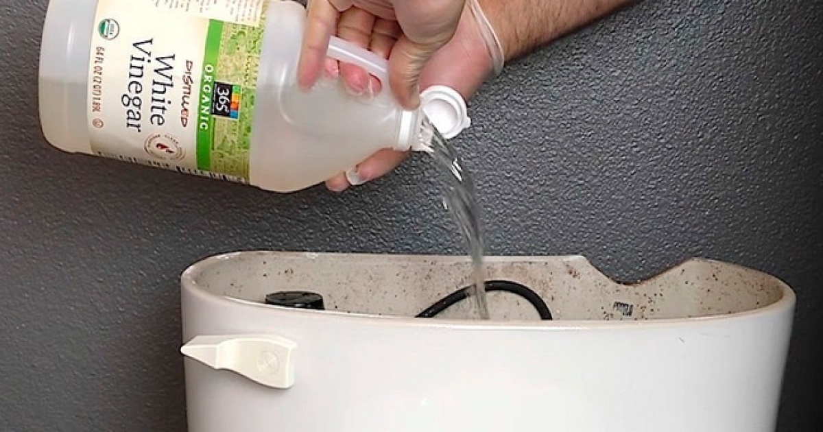 Pour vinegar down the toilet flush tank, and see what happens when you flush