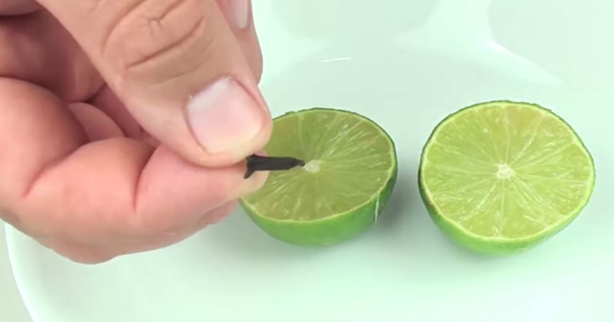 He stuck a spice inside two lime halves. The reason is amazingly genius and will make your summer!