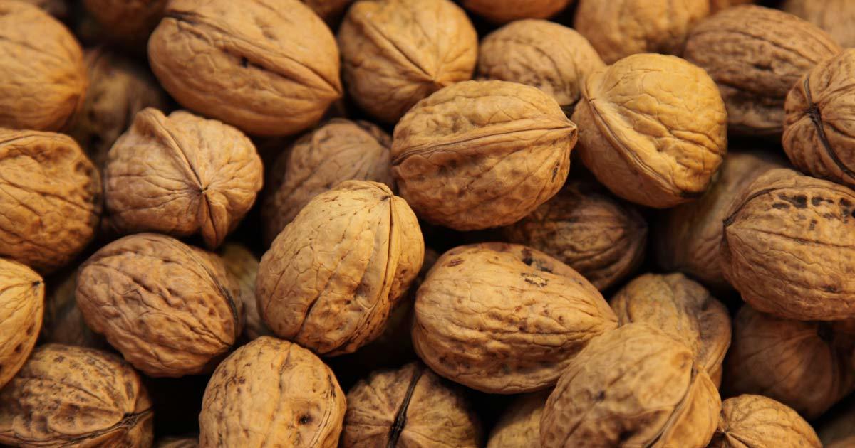 This is the amazing thing that will happen to your body just 4 hours after you eat 5 walnuts