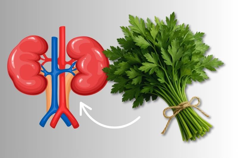 The power of parsley: 5 incredible health benefits you need to discover