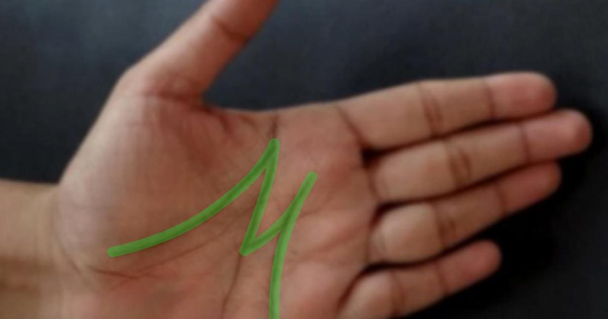 This is what the lines in your palm say about your personality