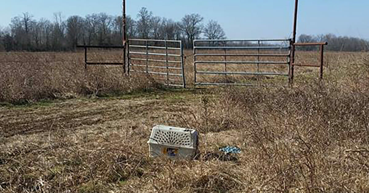 Two motorcyclists found a chewed cage in middle of an abandoned field, looked inside and were horrified by what they saw