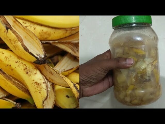 You'll never throw a banana peel again after you read it - the reason is simply genius