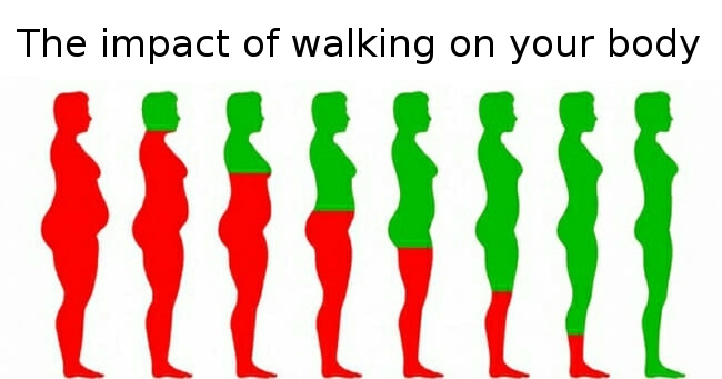 10 things that will happen to your body if you walk 30 minutes a day