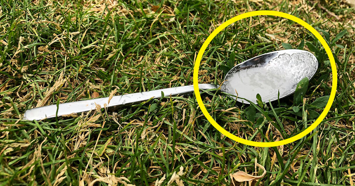 Why you should always put a tablespoon with sugar in your yard - before you leave the house