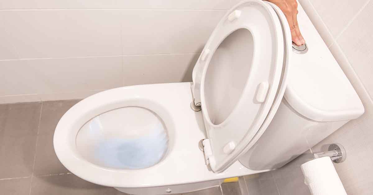 This is why you should always close the toilet lid before flushing - I had no idea
