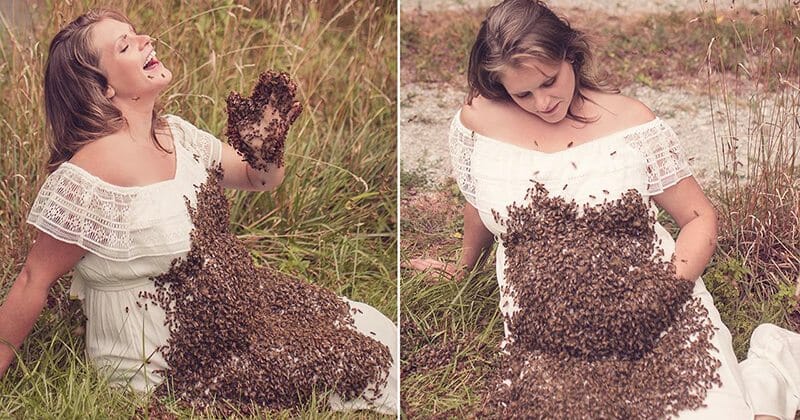 Pregnant mother was photographed with a swarm of bees on her stomach - 6 days before birth their heart was broken to pieces