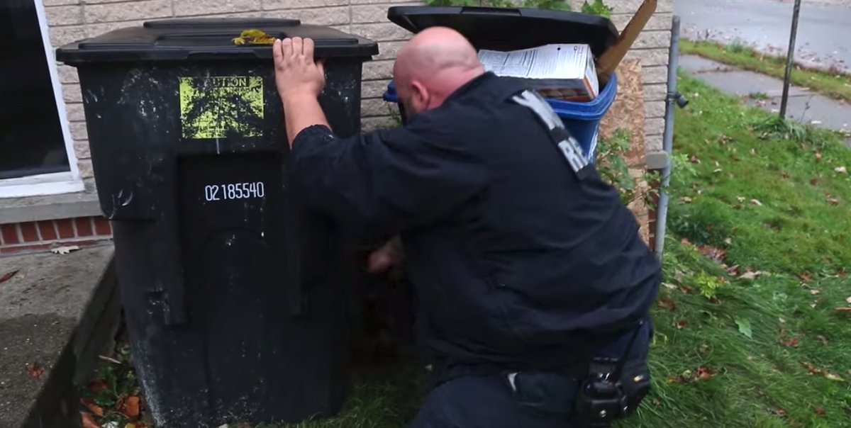 An animal rescuer thought he was rescuing a puppy, then reached behind the bin and realized his mistake