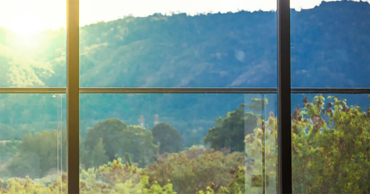 This is why you must spray vinegar around your windows this summer